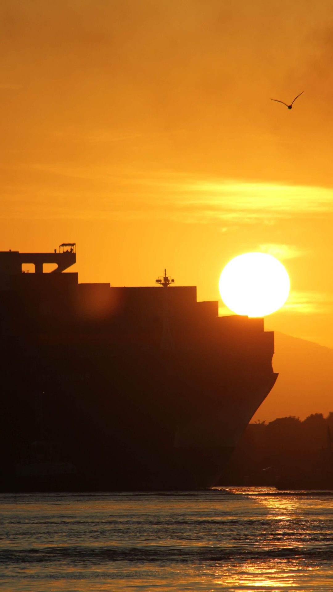porto navio manobra rebocadores sol por silhueta (25)
