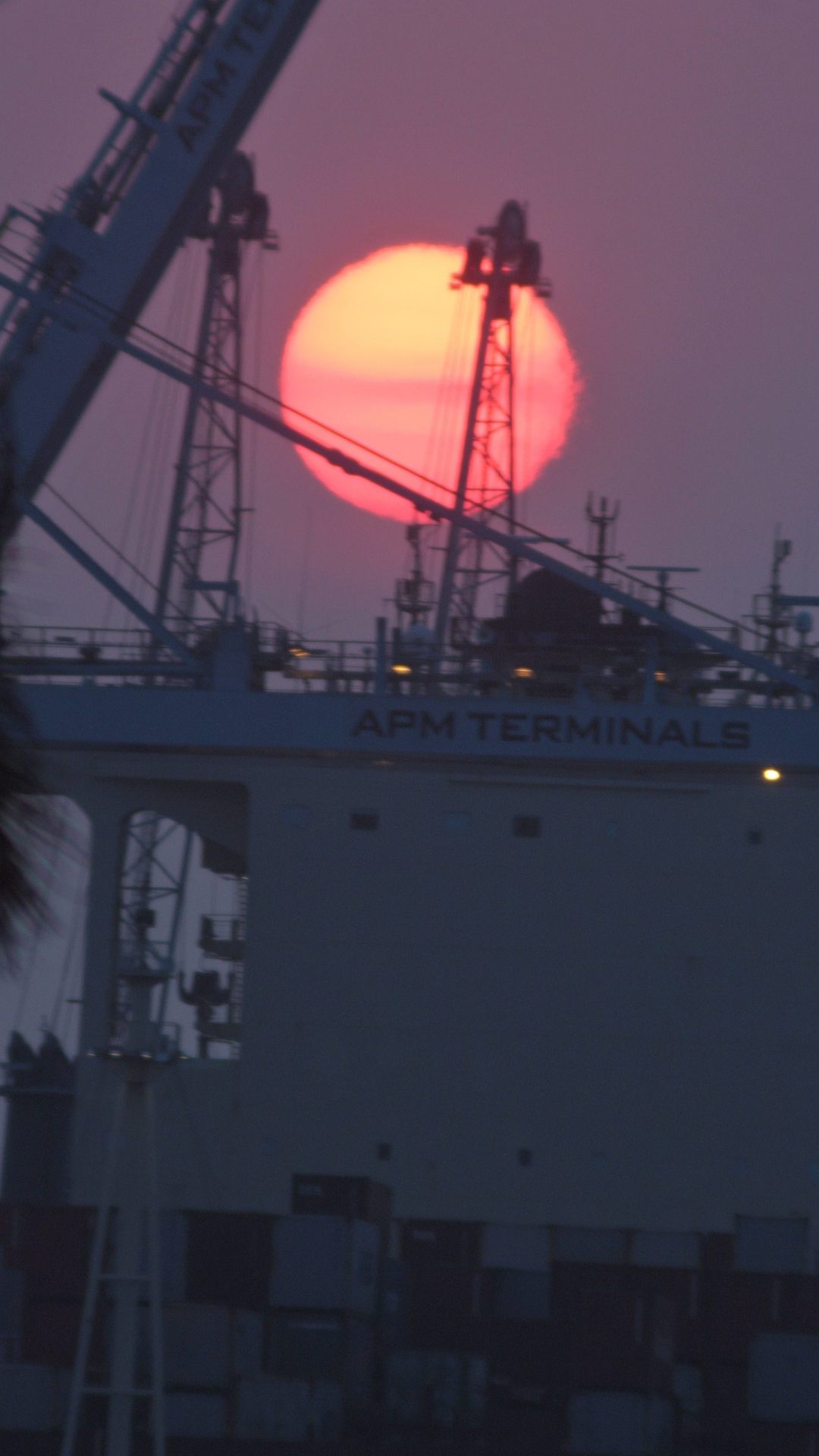 sol rdondo rosado guindaste navio porto silhueta turismo (16)